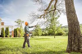 Best Lawn Mowing  in Mulino, OR